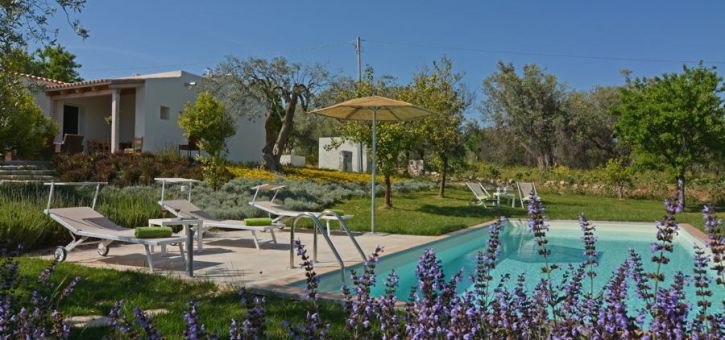 Villa the Birds, Noto area, Sicily, villa and the swimming pool
