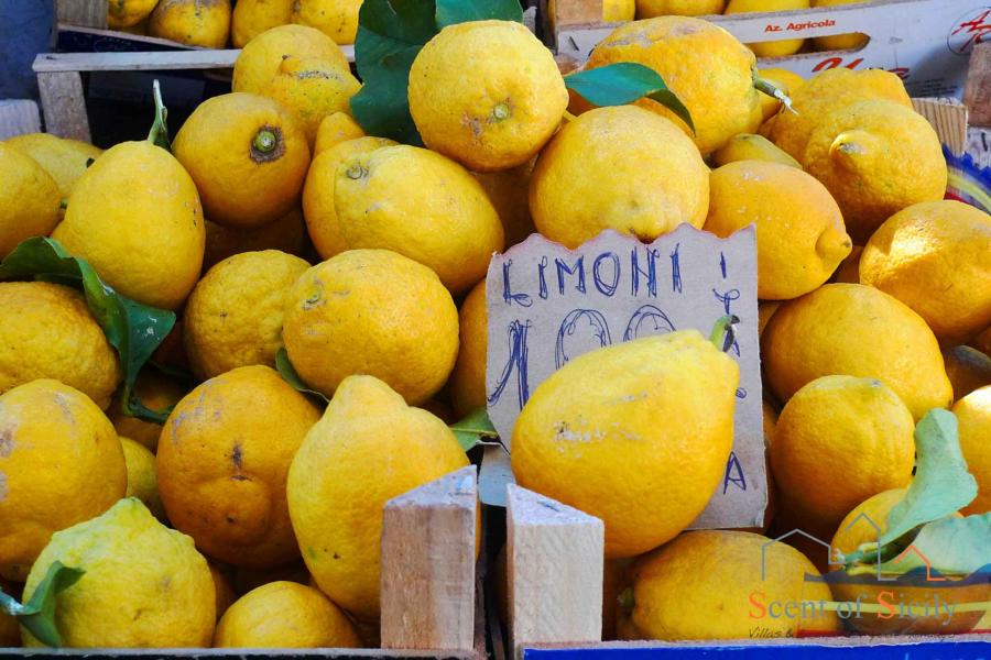 Tipical Sicilian Lemons