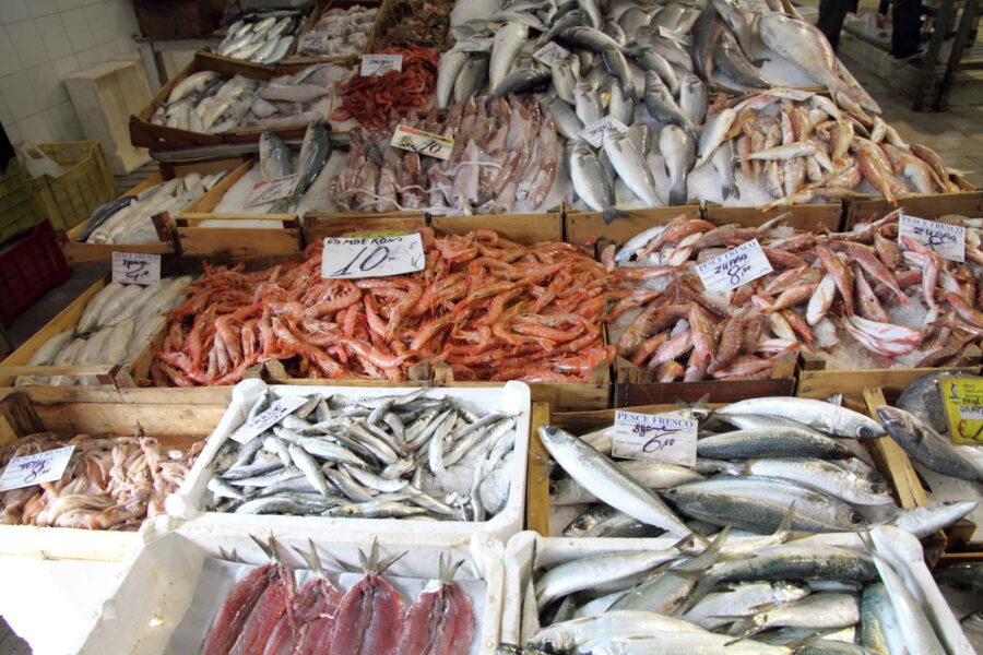Fish-Market