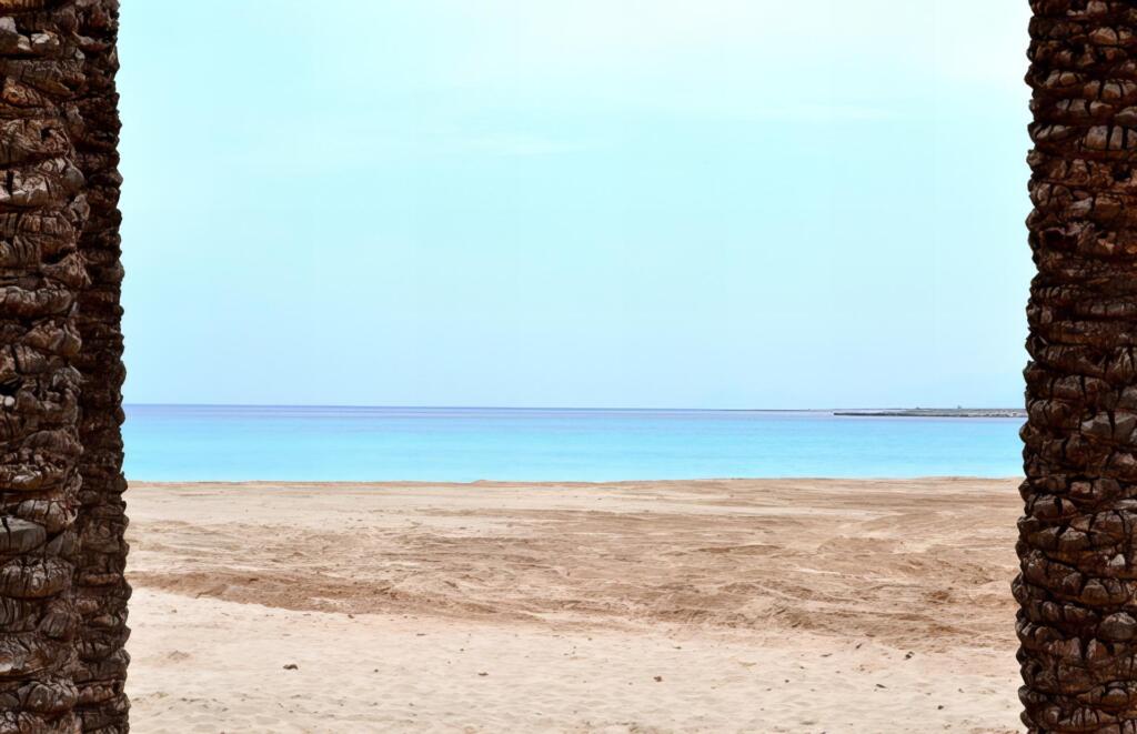 The tranquil beauty of San Vito Lo Capo Beach, with its golden sands embraced by rustic palm trunks, exemplifying the serene essence of Sicilian shorelines.