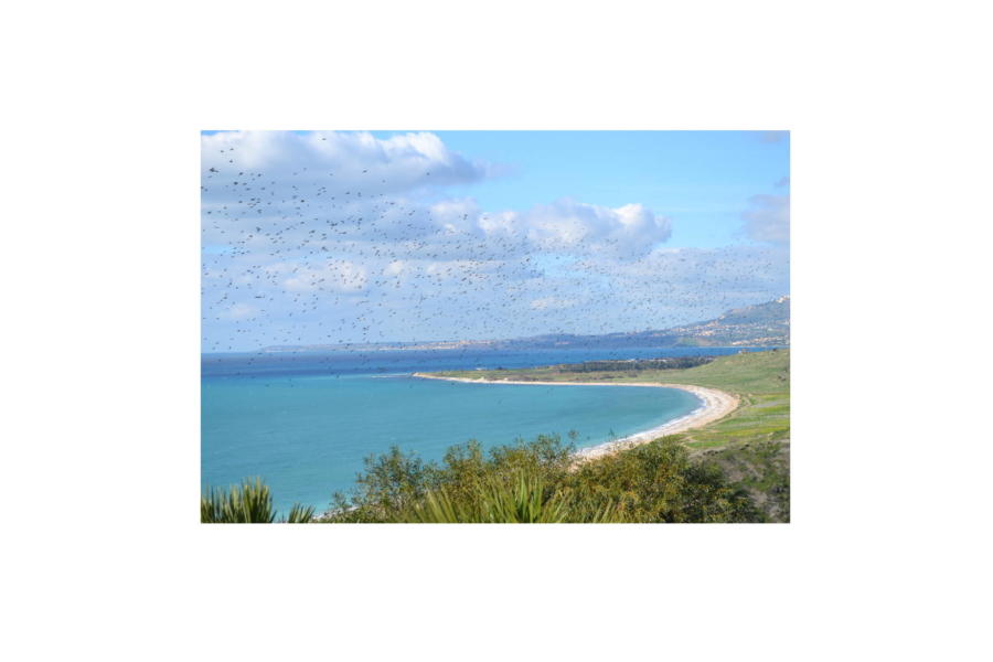 Golden sandy beach in Sicily