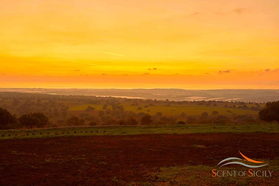 Sunset view of the countryside surrounding villa Bianca Levante Donnafugata Scent of Sicily