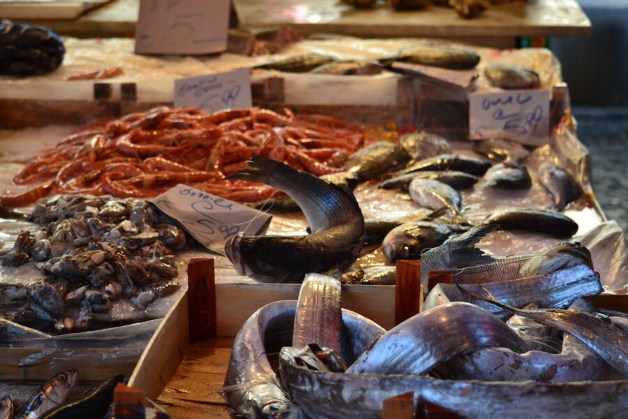 Open-air fish market