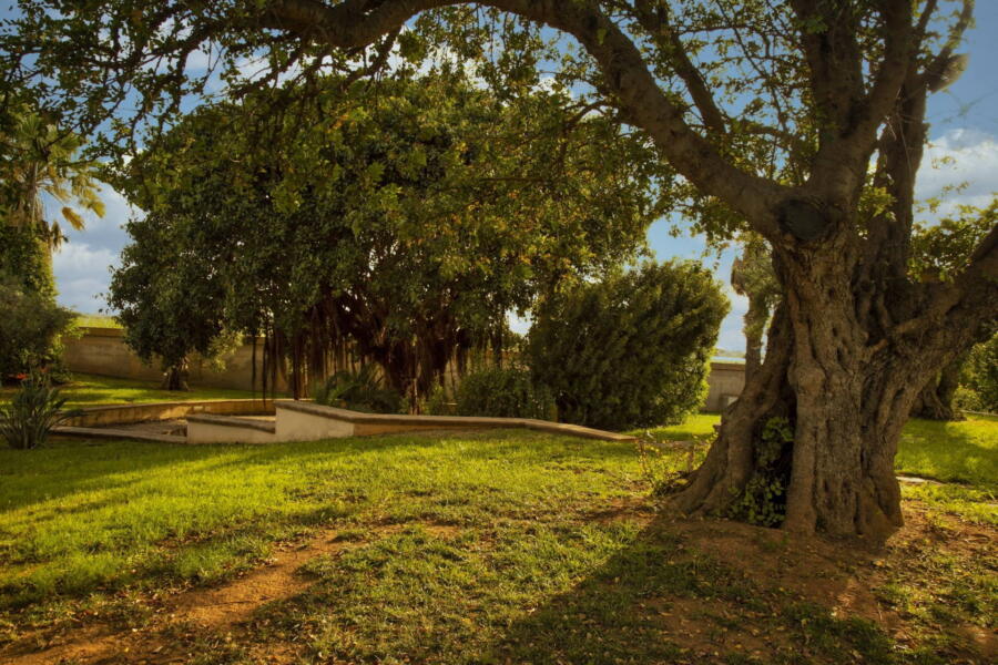 The colours of nature surrounding the villa