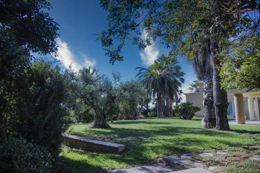 The colours of nature surrounding the villa