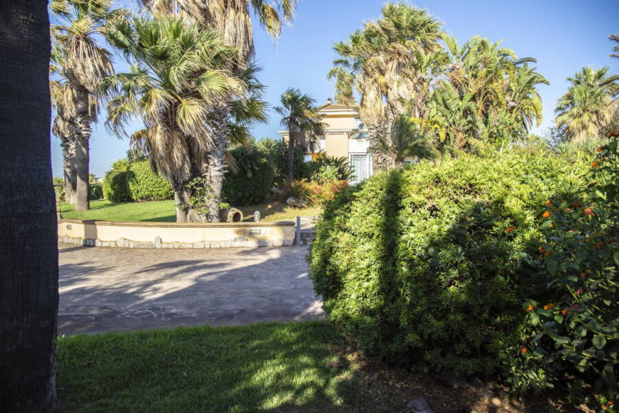 The greenery surrounding the villa 