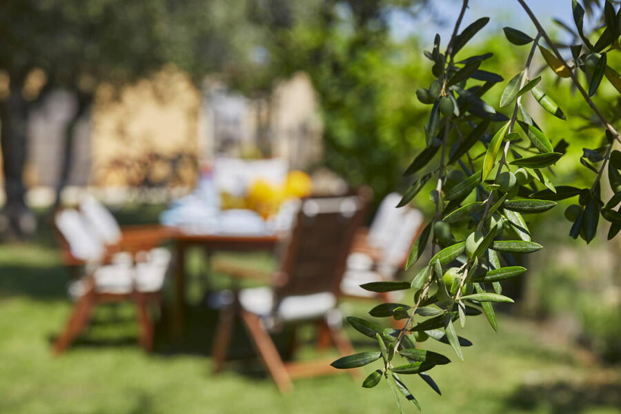 Dinning in the garden