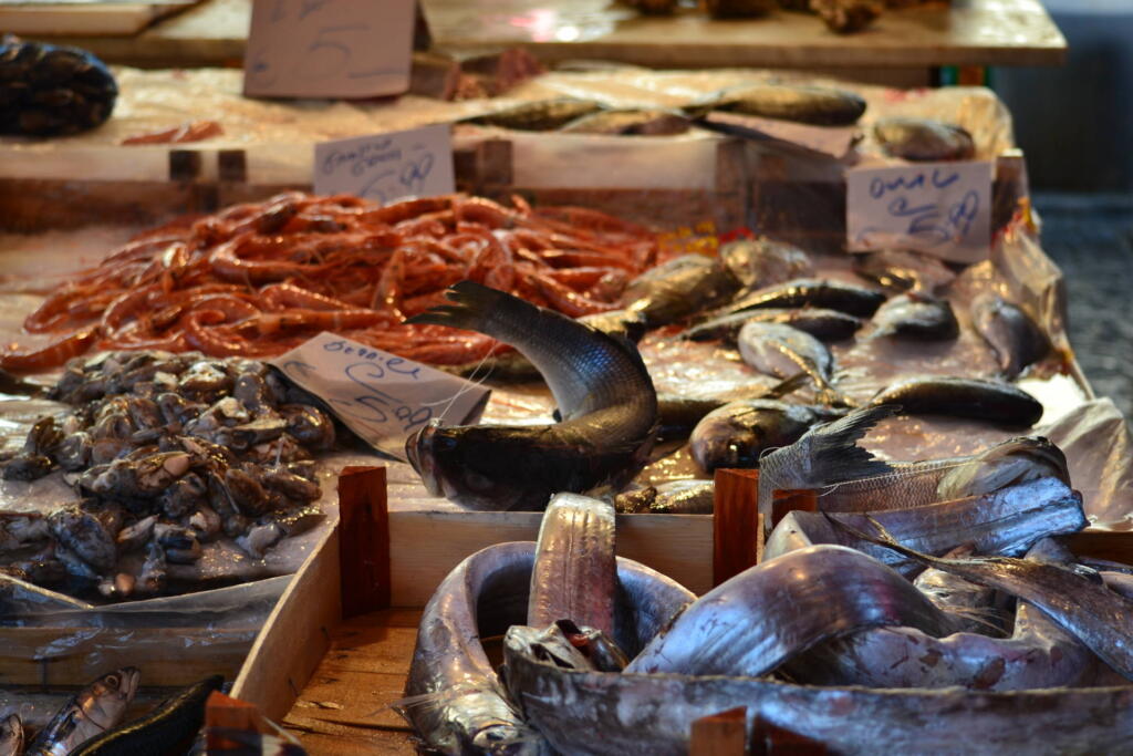 Colorful fish varieties on display at a typical Sicilian fish market.