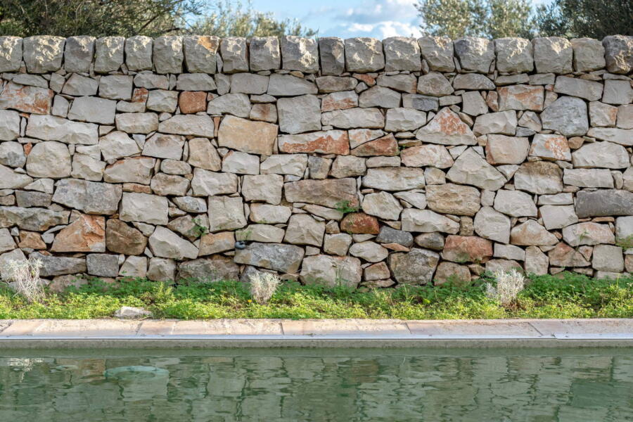 The bio-pool with the typical wall of the area behind it