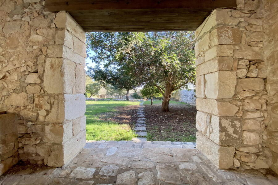 The garden, which contains various Mediterranean plants 