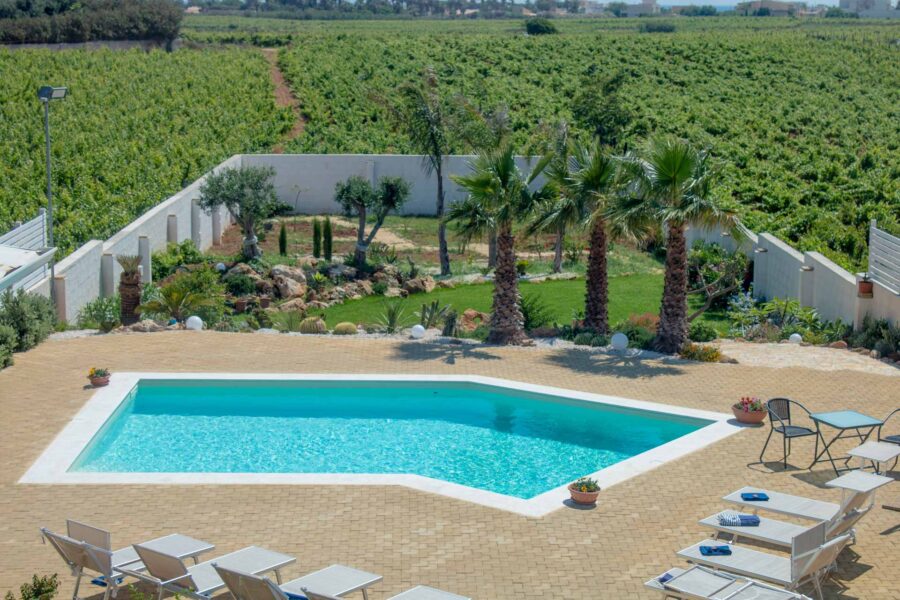 The vineyards embrace it