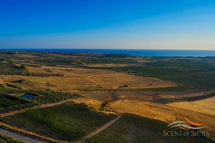 The shades of colours in the countryside and the blue sea