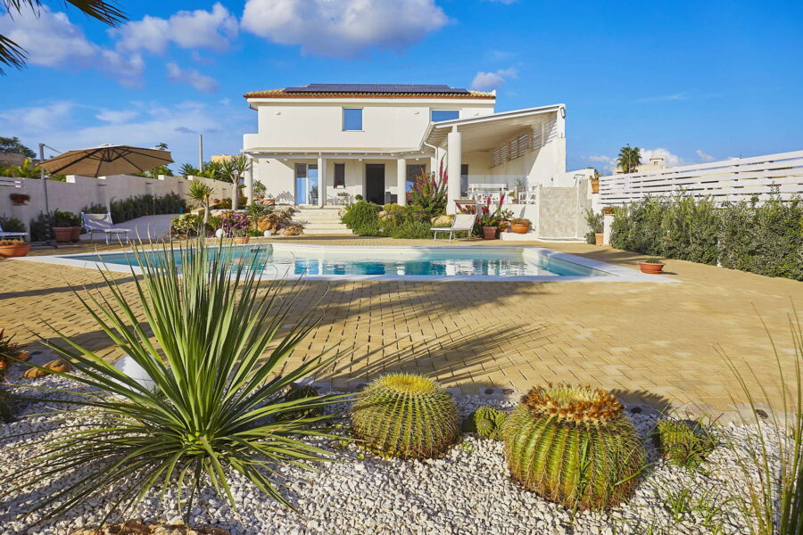 Succulent plants in the garden
