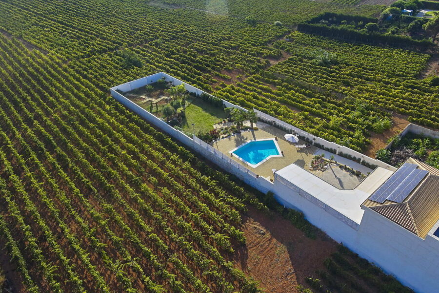 Green vineyards surround the villa