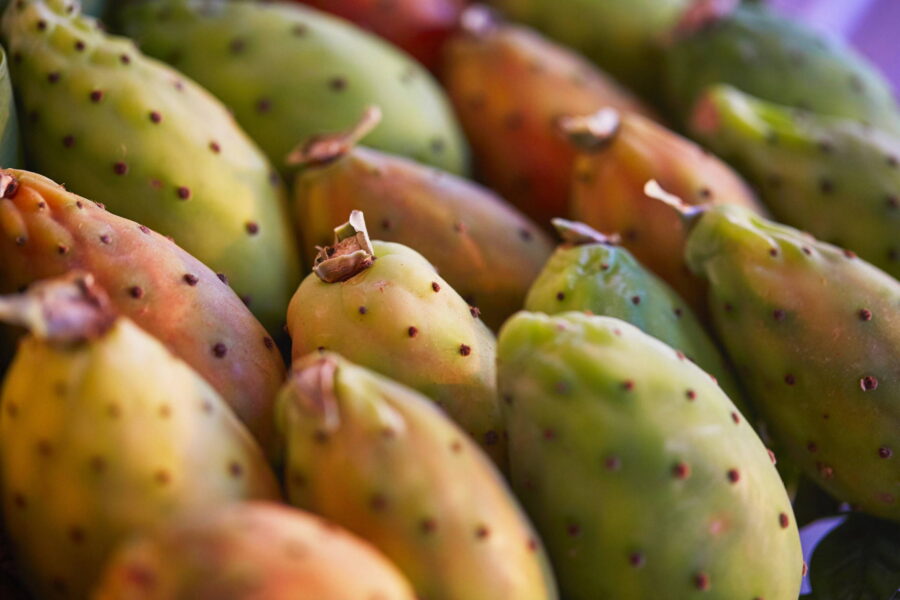 PricklyPears