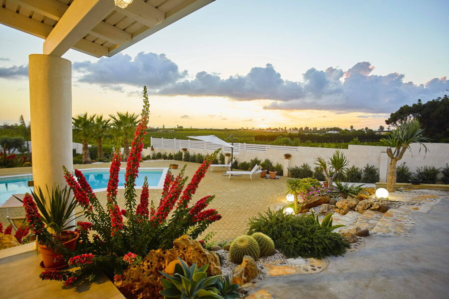 View the pool at the sunset