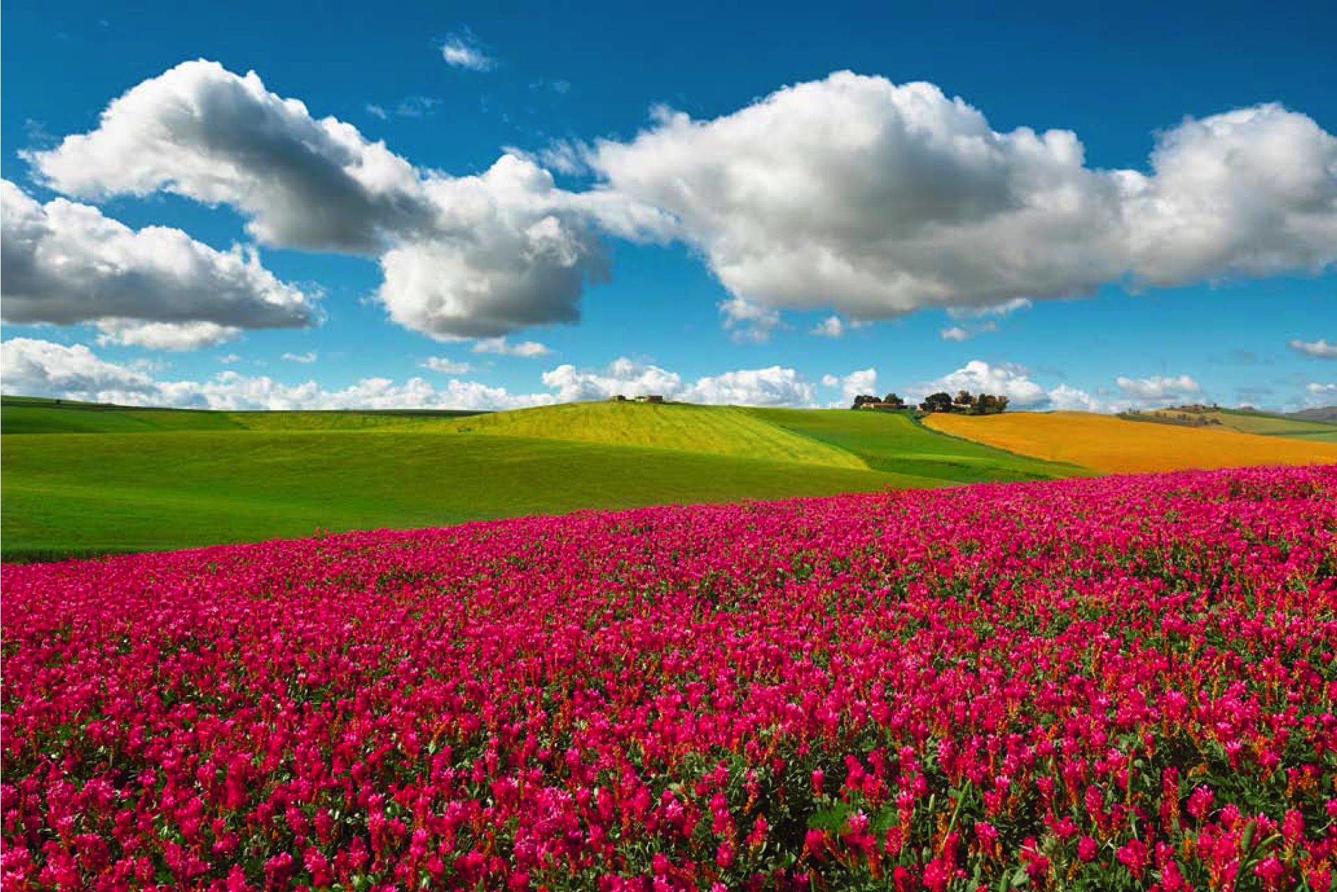 Springtime in Sicily: what to visit and where to stay