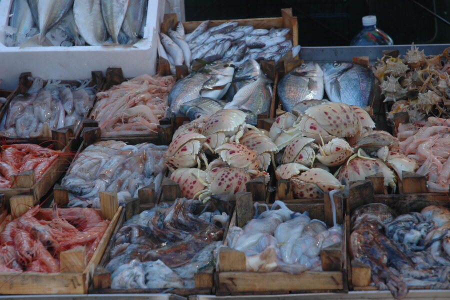 Sciacca-Fish-Market-Fresh-Catch-Authentic-Sicilian-Life