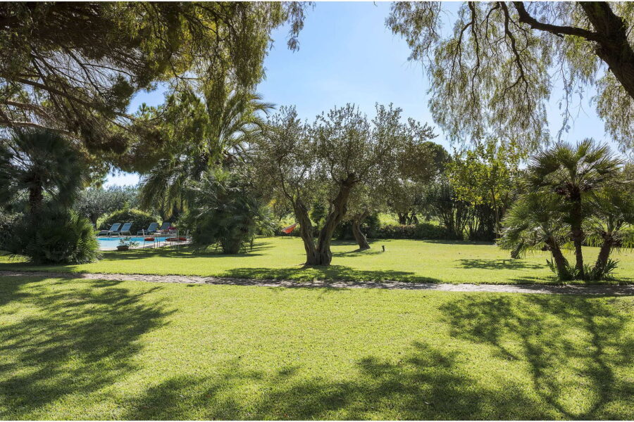 Expansive garden with olive trees and sunbeds by the pool at Villa Selvira, Sicily luxury villa